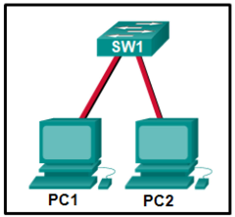 2 collision domains are shown in the topology