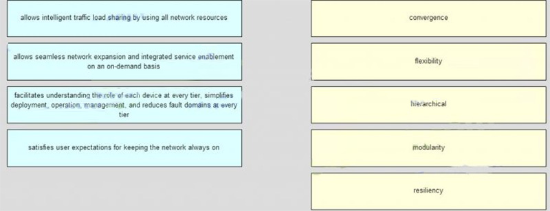 Match the borderless switched network guideline description to the principle