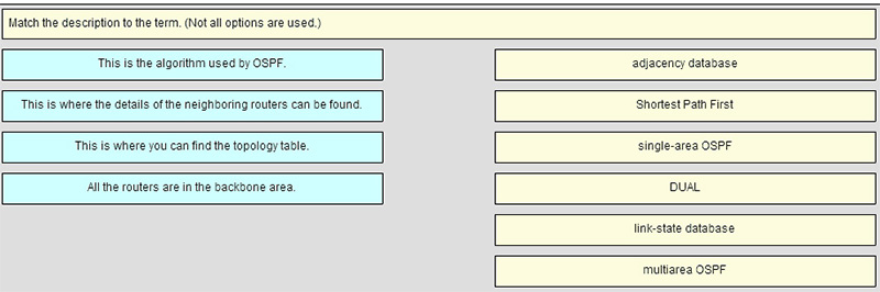 Match the description to the term