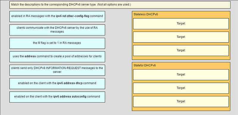 Match the descriptions to the corresponding DHCPv6 server type