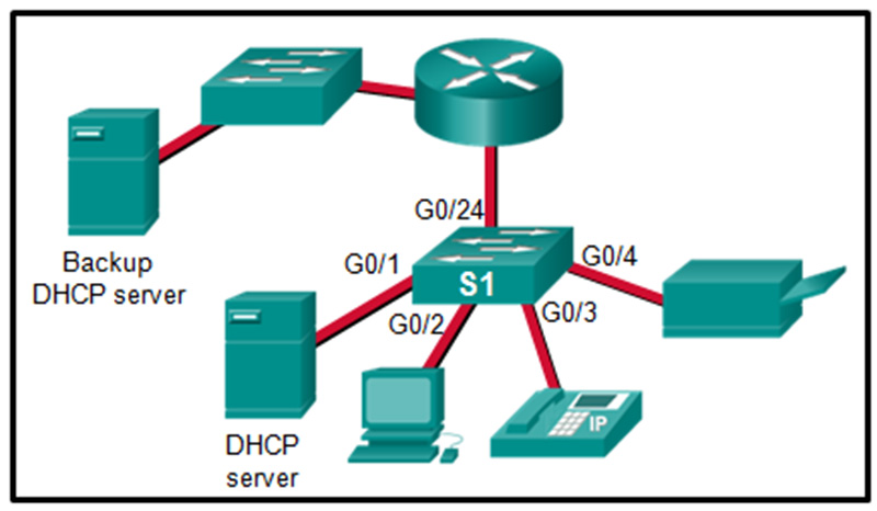 Which S1 switch port interface or interfaces should be configured with the ip dhcp snooping trust command if best practices are implemented
