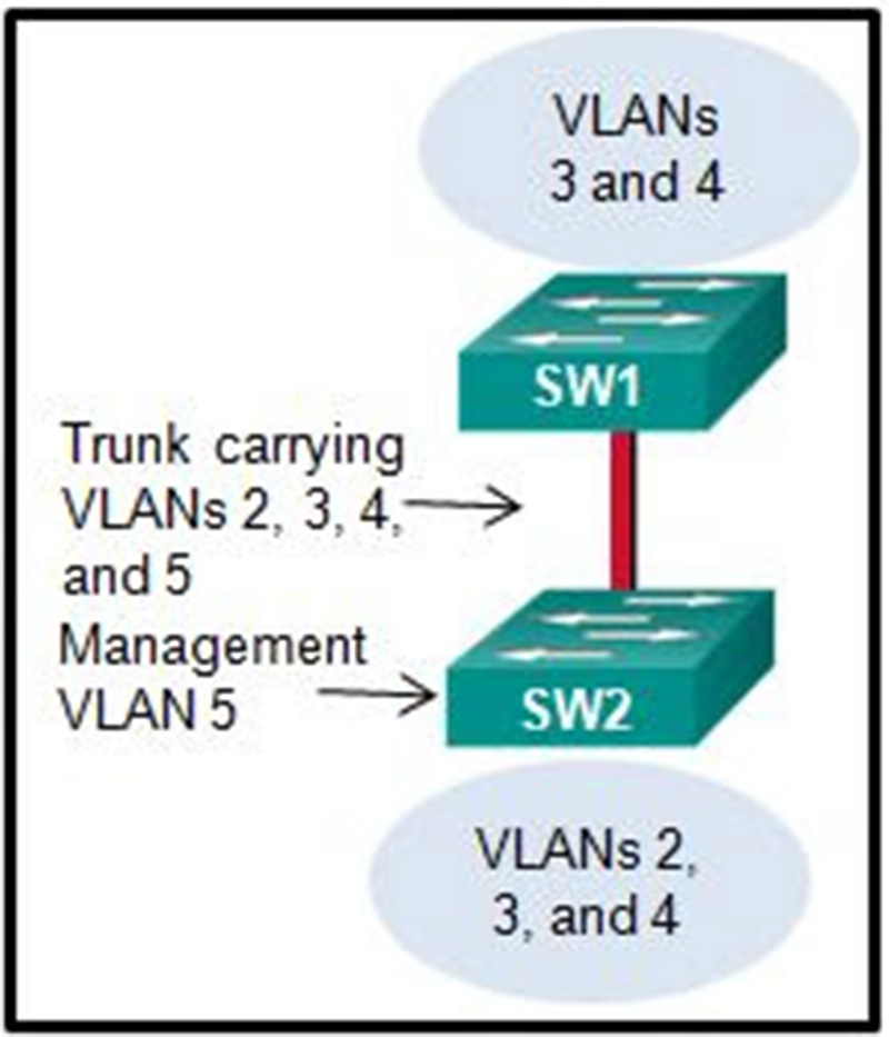 A small business uses VLANs 2, 3, 4, and 5 between two switches that have a trunk link between them
