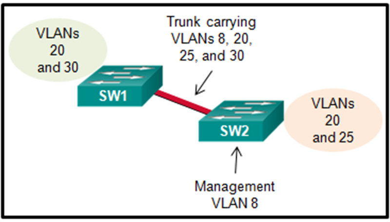 A small business uses VLANs 8, 20, 25, and 30 on two switches that have a trunk link between them