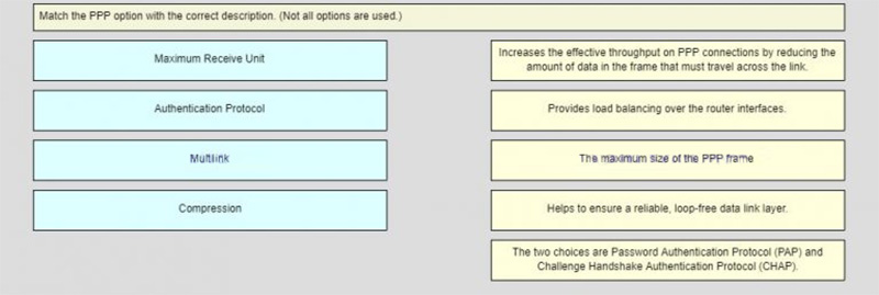 Match the PPP option with the correct description