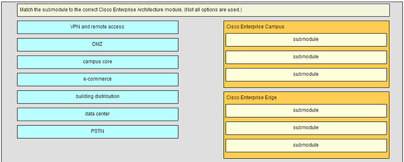 Match the submodule to the correct Cisco Enterprise Architecture module