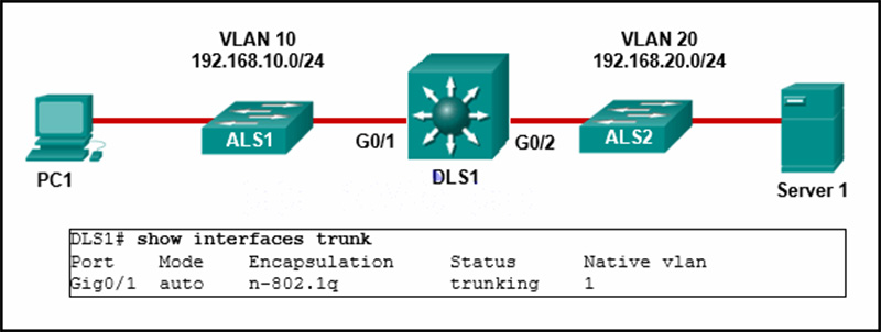 What conclusion can be made based on the output of this command